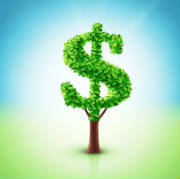 Money-Tree.jpg